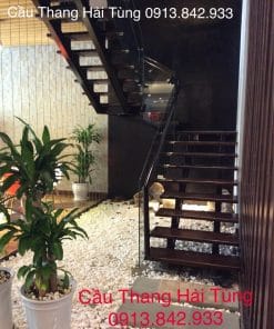 cầu thang xương y